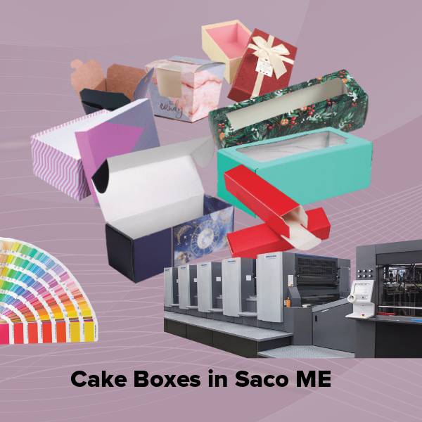 Cake boxes in saco me