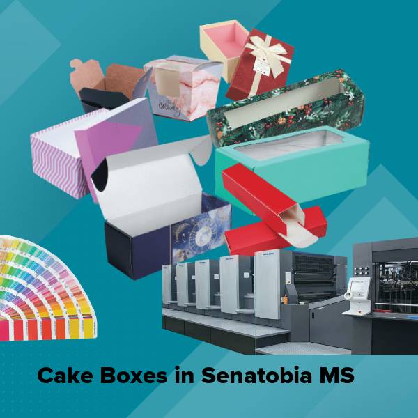 Cake boxes in senatobia ms