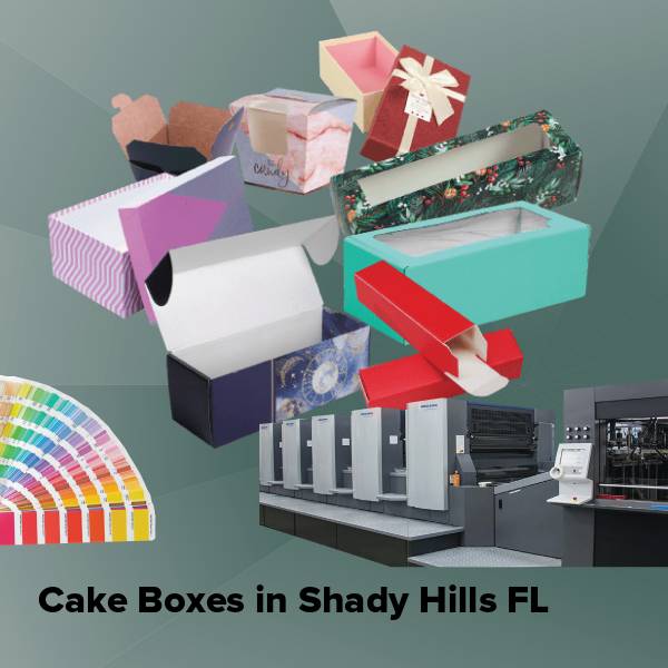 Cake boxes in shady hills fl