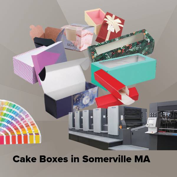 Cake boxes in somerville ma