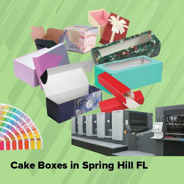 Cake boxes in spring hill fl