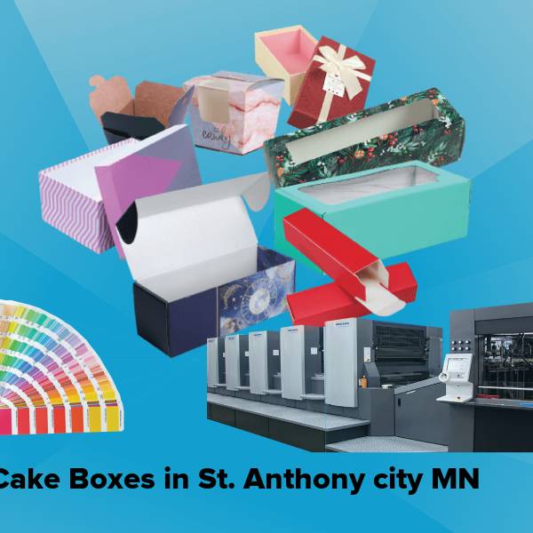 Cake boxes in st. anthony city mn