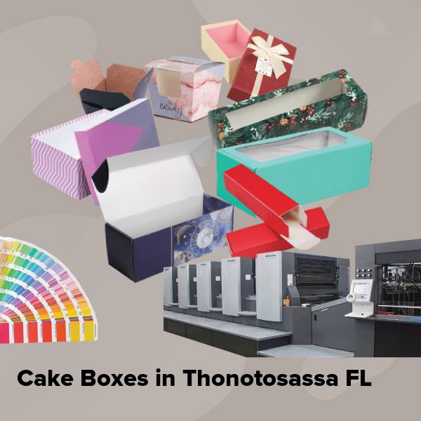 Cake boxes in thonotosassa fl