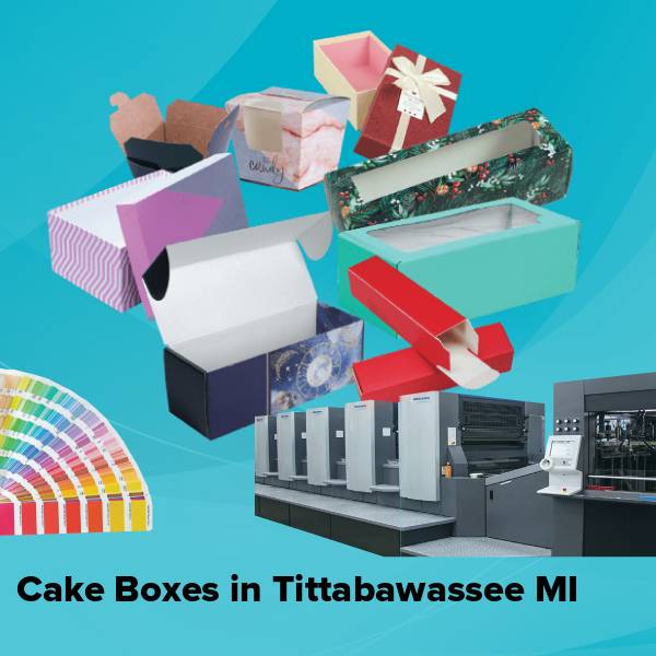 Cake boxes in tittabawassee mi