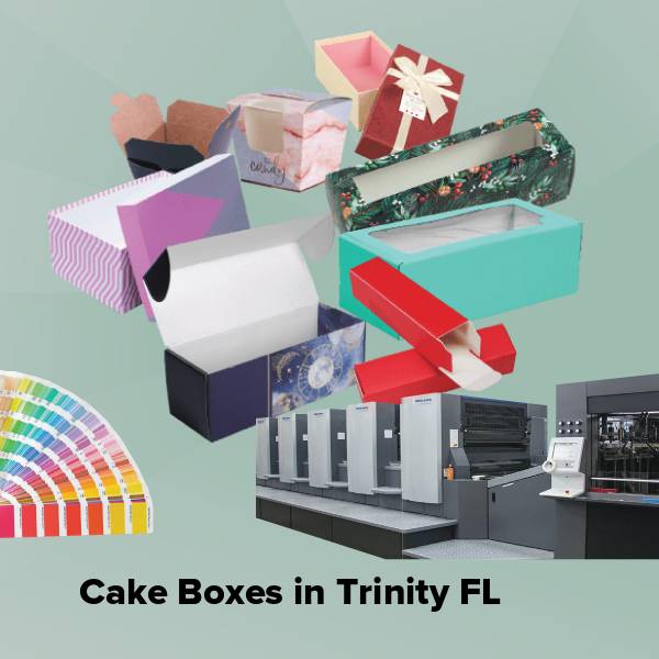 Cake boxes in trinity fl