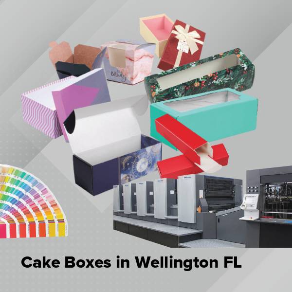 Cake boxes in wellington fl