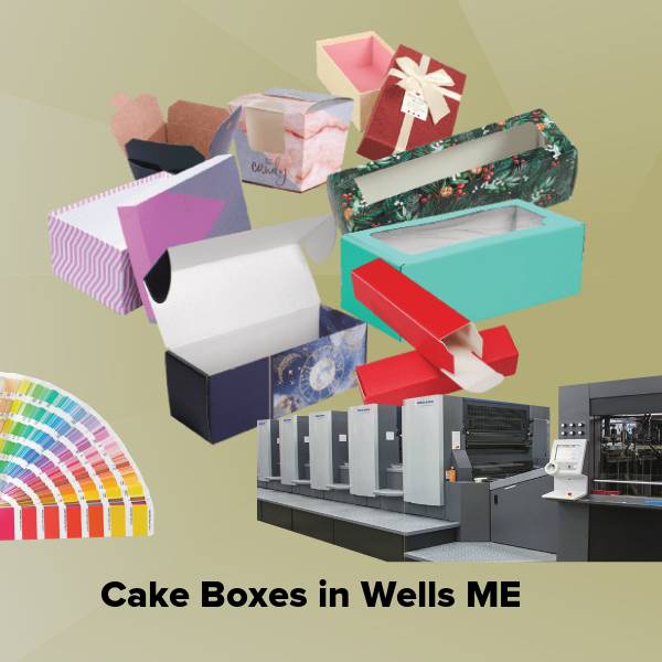 Cake boxes in wells me