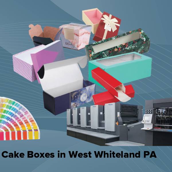 Cake boxes in west whiteland pa