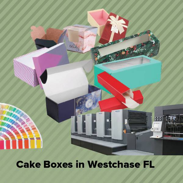 Cake boxes in westchase fl