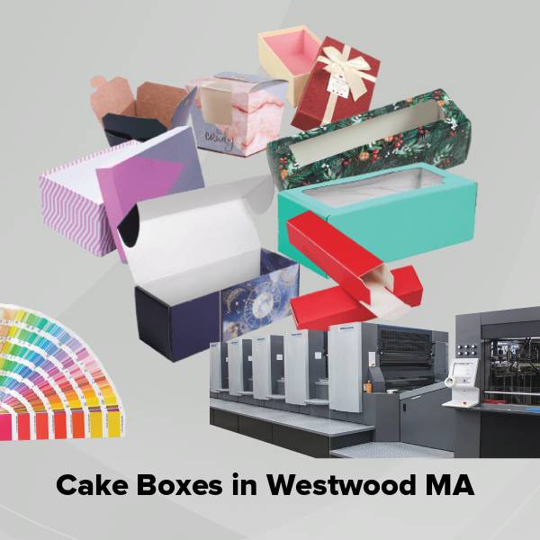 Cake boxes in westwood ma