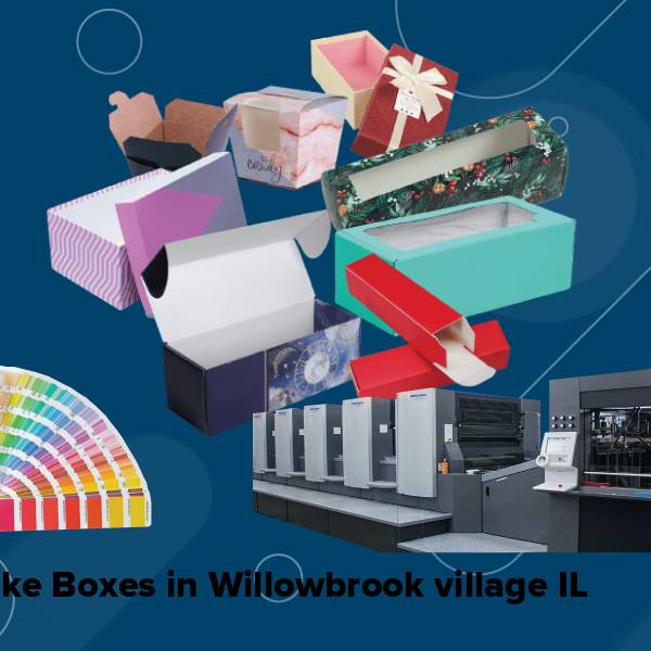 Cake boxes in willowbrook village il