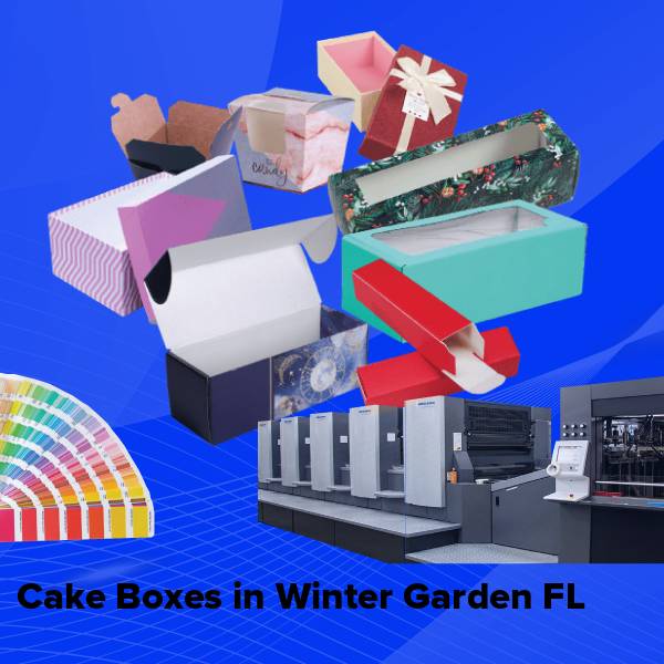 Cake boxes in winter garden fl