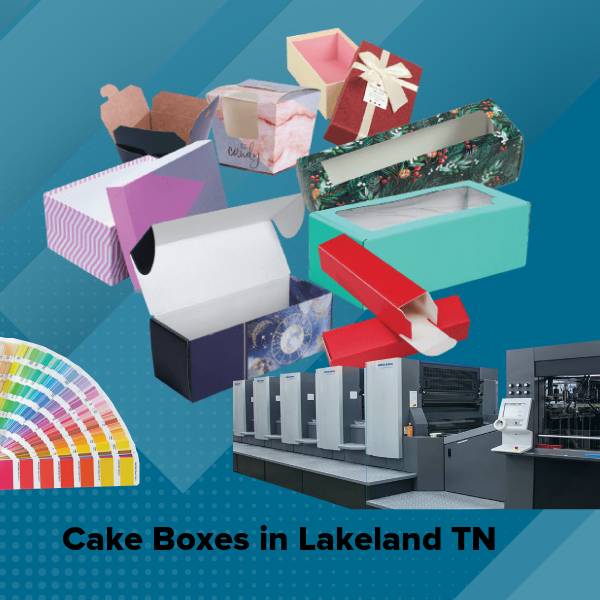 Cake boxes in lakeland tn