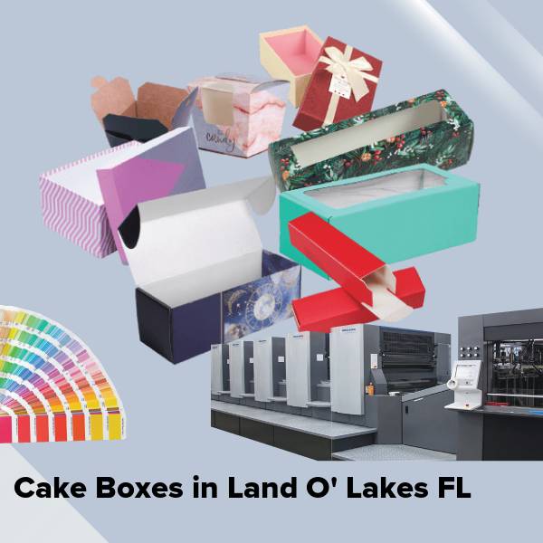 Cake boxes in land o' lakes fl