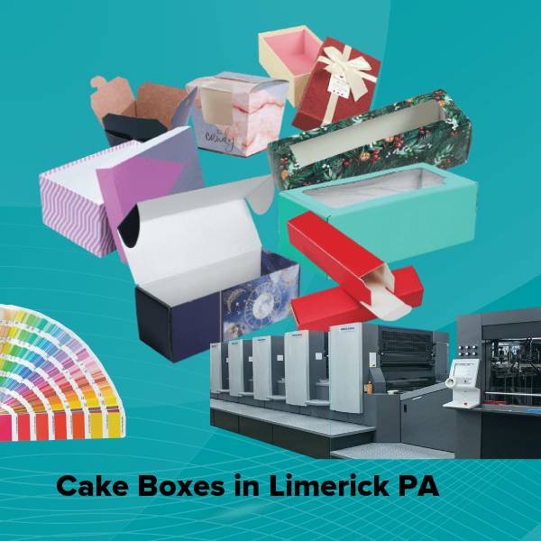 Cake boxes in limerick pa