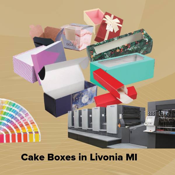 Cake boxes in livonia mi