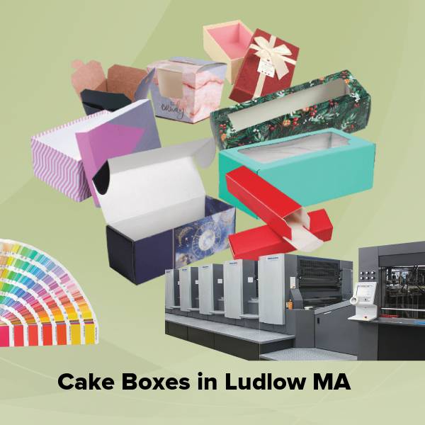 Cake boxes in ludlow ma