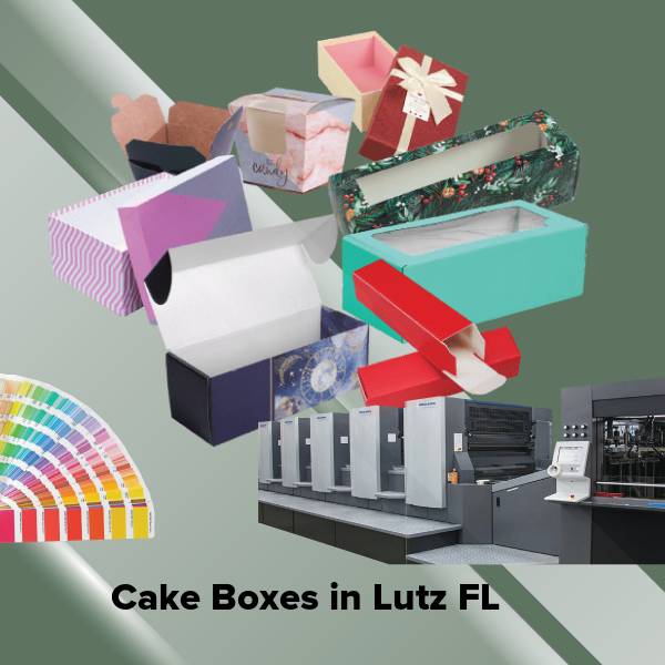 Cake boxes in lutz fl