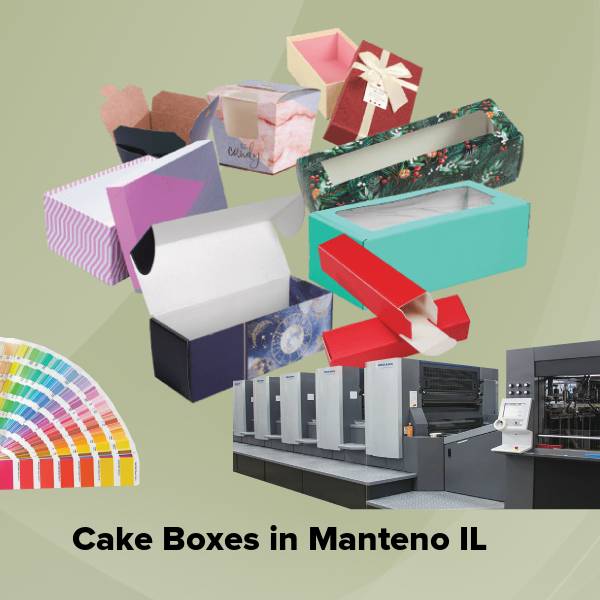 Cake boxes in manteno il