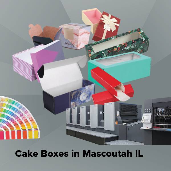Cake boxes in mascoutah il