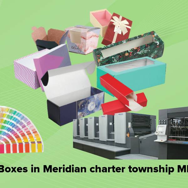 Cake boxes in meridian charter township mi