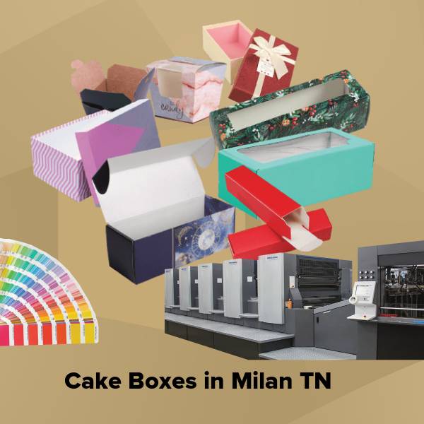 Cake boxes in milan tn