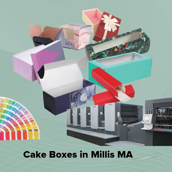 Cake boxes in millis ma