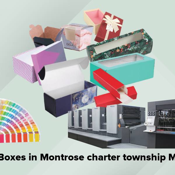 Cake boxes in montrose charter township mi