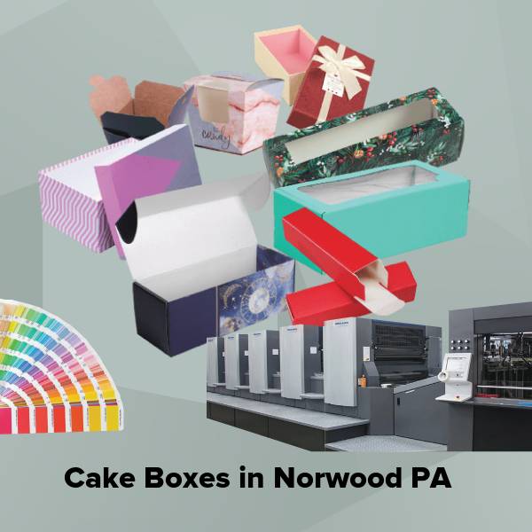 Cake boxes in norwood pa
