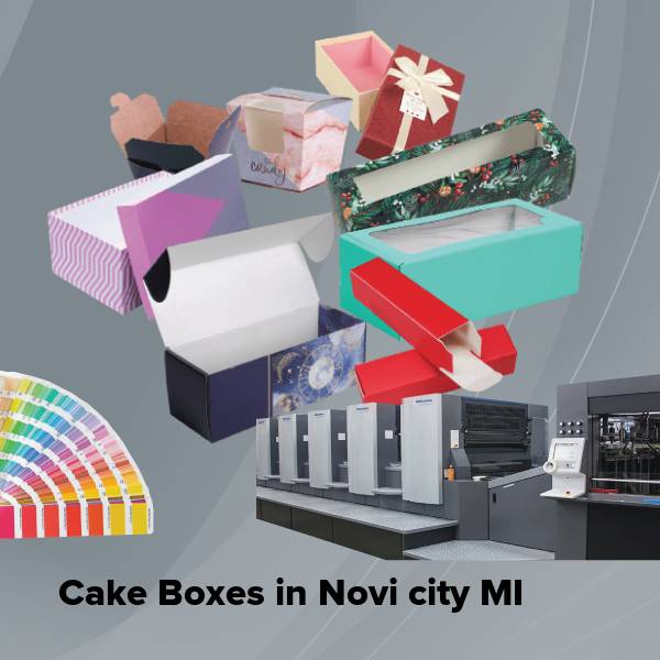 Cake boxes in novi city mi