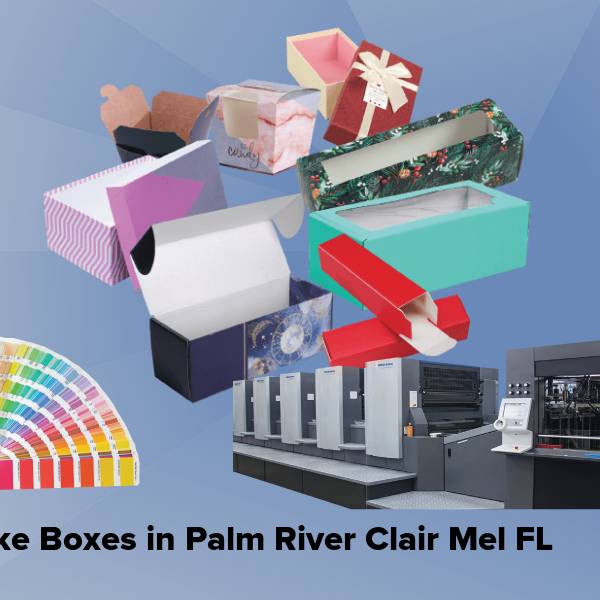 Cake boxes in palm river clair mel fl
