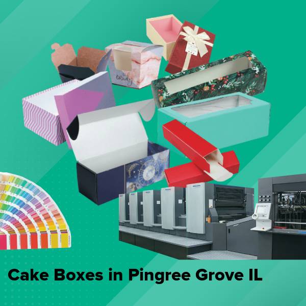Cake boxes in pingree grove il