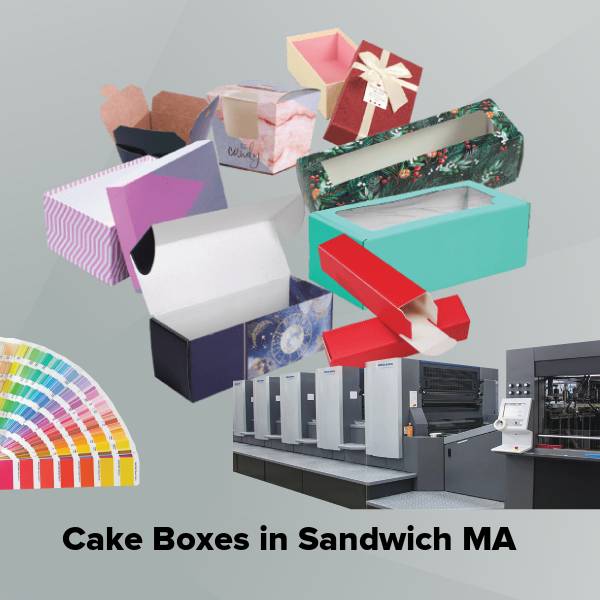 Cake boxes in sandwich ma
