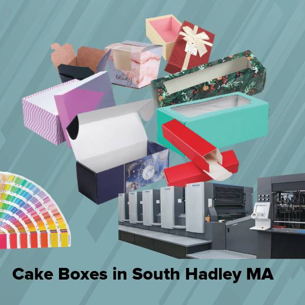 Cake boxes in south hadley ma