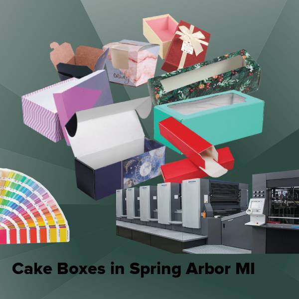 Cake boxes in spring arbor mi