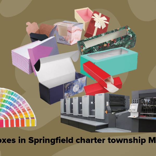 Cake boxes in springfield charter township mi