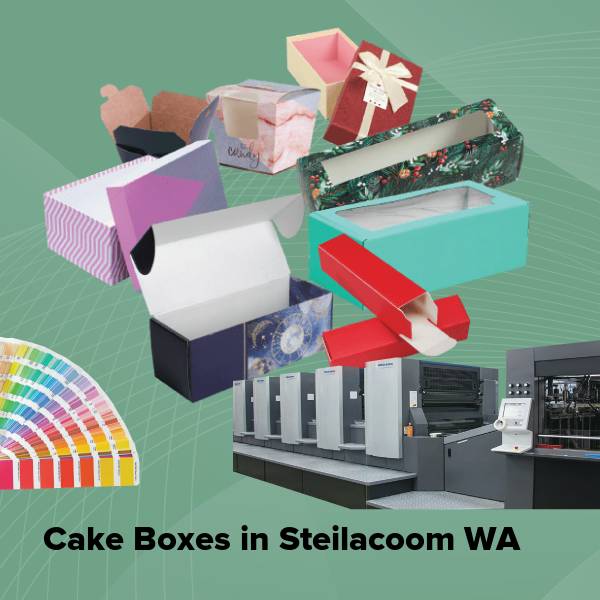 Cake boxes in steilacoom wa