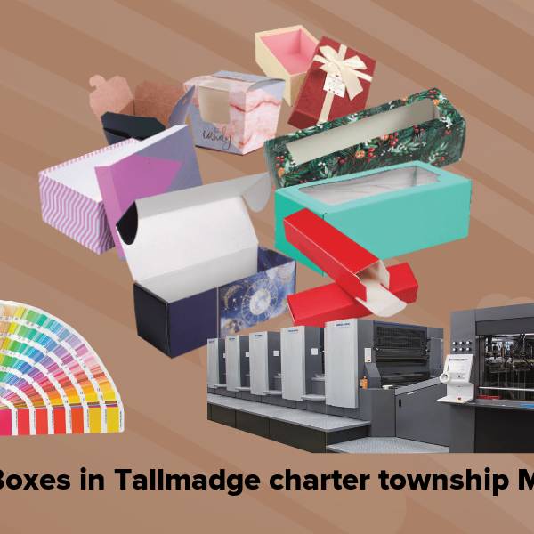 Cake boxes in tallmadge charter township mi