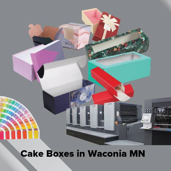Cake boxes in waconia mn