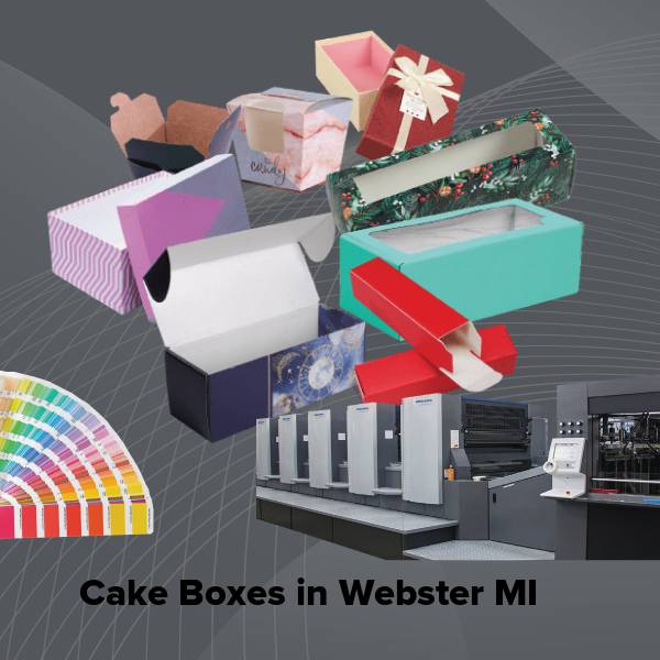 Cake boxes in webster mi