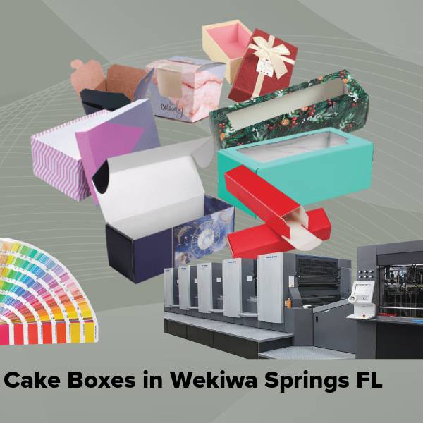 Cake boxes in wekiwa springs fl