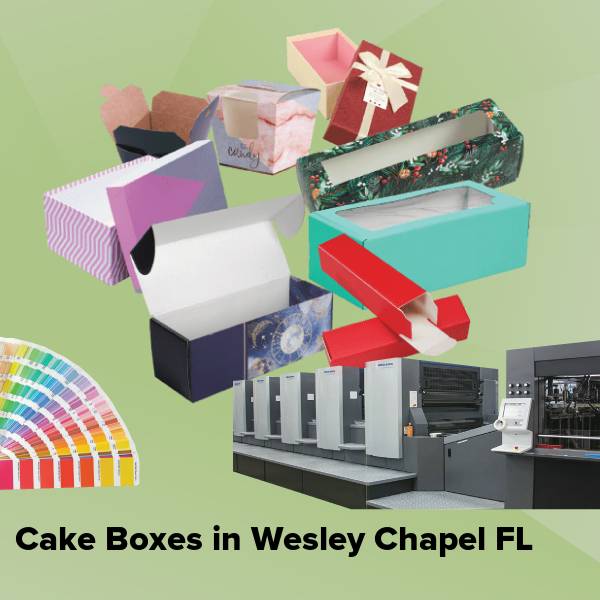 Cake boxes in wesley chapel fl