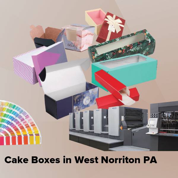 Cake boxes in west norriton pa