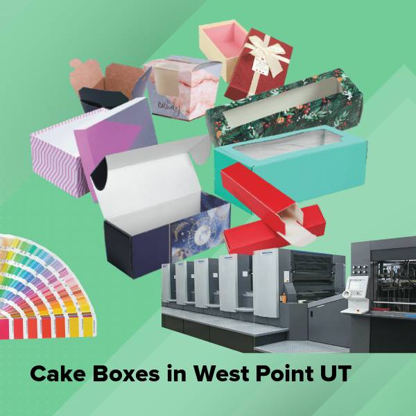 Cake boxes in west point ut