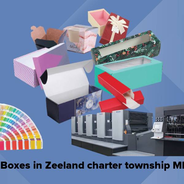 Cake boxes in zeeland charter township mi