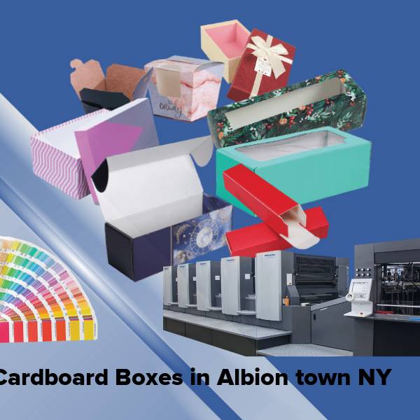 Cardboard boxes in albion town ny