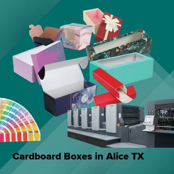 Cardboard boxes in alice tx