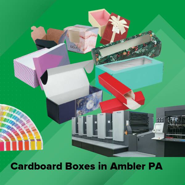 Cardboard boxes in ambler pa