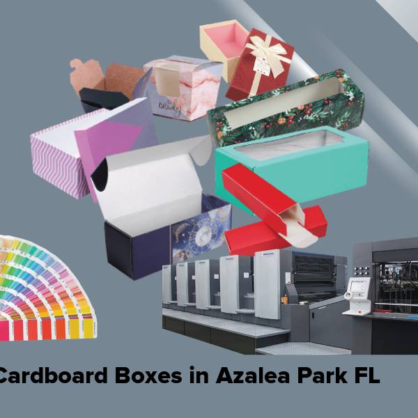 Cardboard boxes in azalea park fl