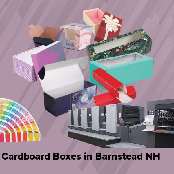 Cardboard boxes in barnstead nh